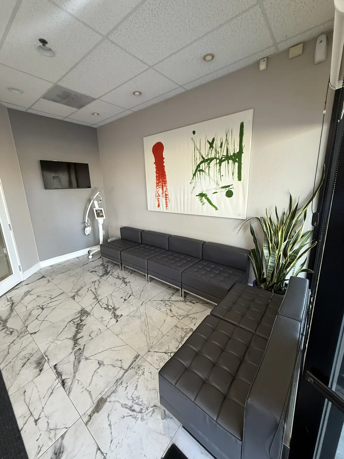 Lounge seating, abstract wall art, and a snake plant in the office waiting room